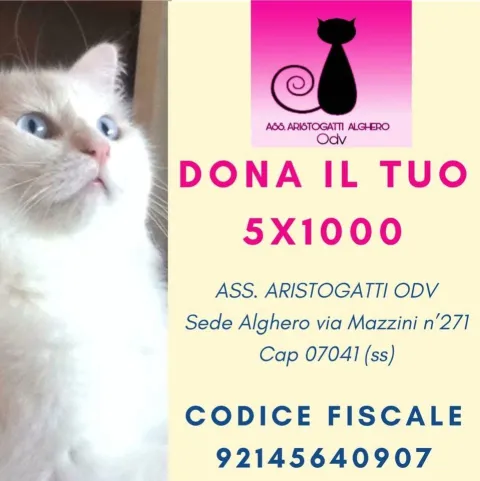 Associazione Aristogatti ODV